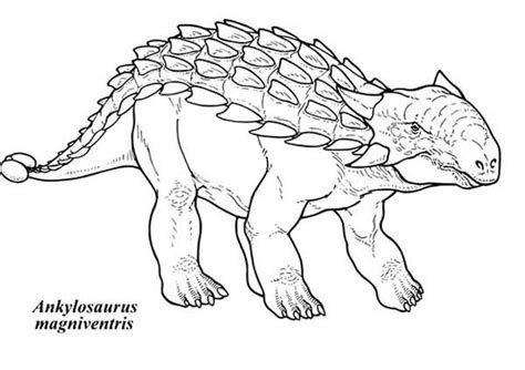 Desenhos De Ankylosaurus Magniventris Para Imprimir E Colorir My Xxx
