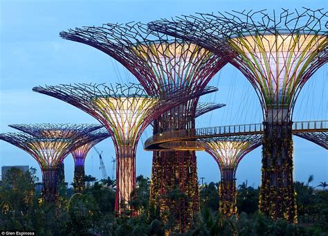Gardens By The Bay Supertrees Of Singapore Light Up Night Sky Daily