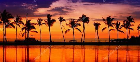 Beach Paradise Sunset ⬇ Stock Photo Image By © Maridav 54891695