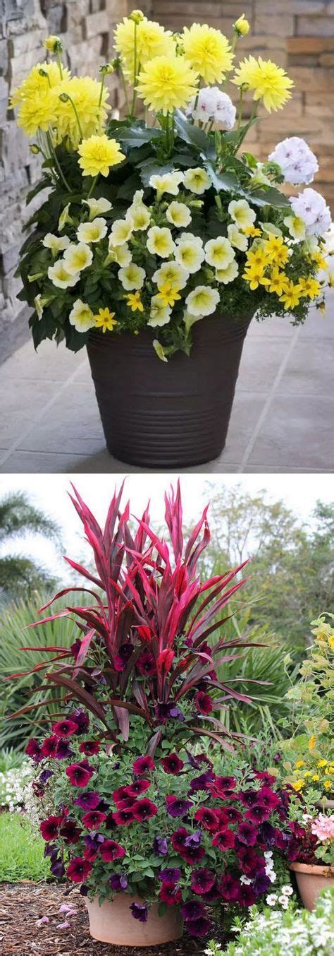 760 Flower Pots And Containers Ideas Flower Pots Container Gardening