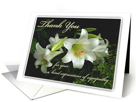 Thank You For Your Sympathy White Lilies Thanks For Condolences Card