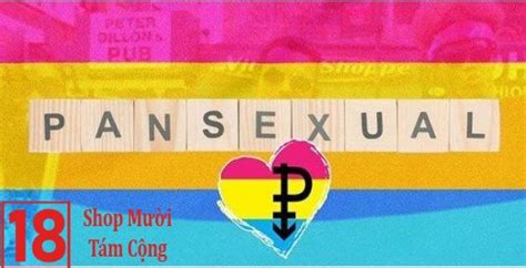 Pan Pansexuality Và Bi Bisexual Là Gì Trong Lgbt So Sánh Bi Và