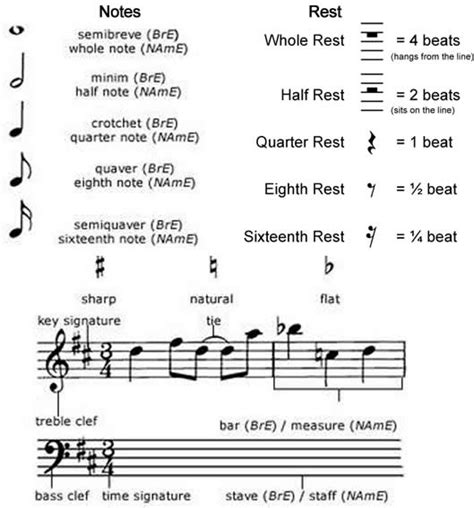 Learning Musical Notation English Lesson