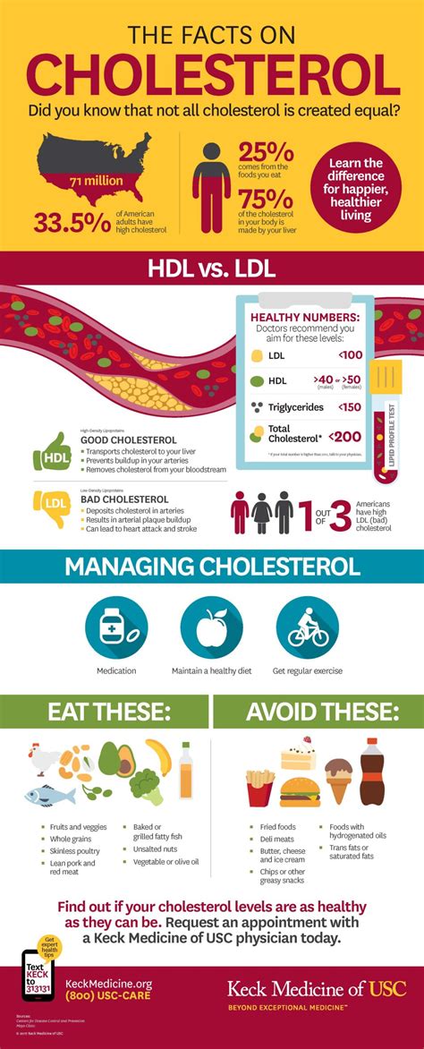 What Is The Difference Between Good And Bad Cholesterol