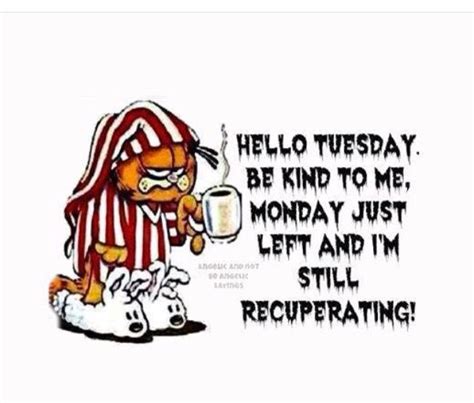 Tuesday is just a start of the week. Hello Tuesday | Good morning quotes, Funny quotes