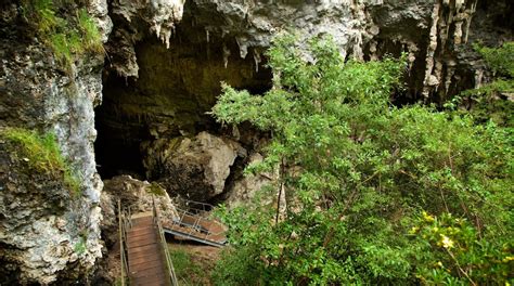 Mammoth Cave In Boranup Tours And Activities Expedia