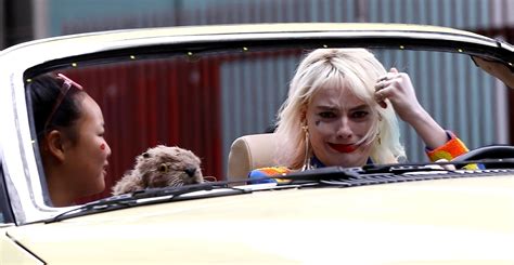 Margot Robbie Gets Animated With Facial Expressions For ‘birds Of Prey Scene Birds Of Prey