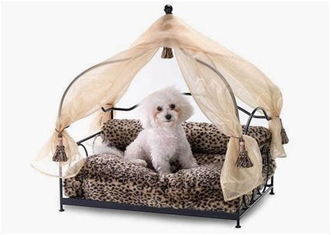 If you want to treat your pet like a prince or princess, while adding. Curtain Ideas: Canopy dog beds for small dogs