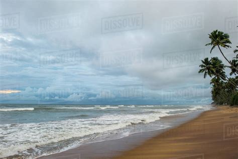 Beautiful Seascape On Stormy Day At Tropical Beach With Palm Trees