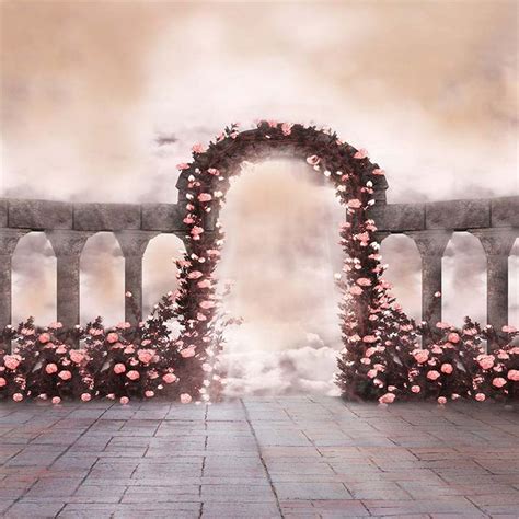 2019 Pink Roses Arched Door Romantic Wedding Backdrop Photography