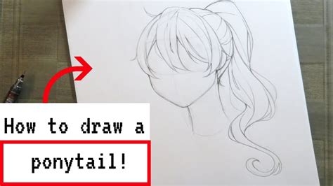 How To Draw Anime Girl Hair Ponytail Drawing Art Ideas