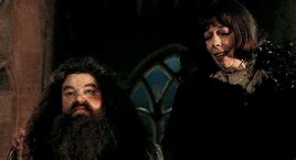 A gift for madame maxime. hagrid and madame maxime | Tumblr