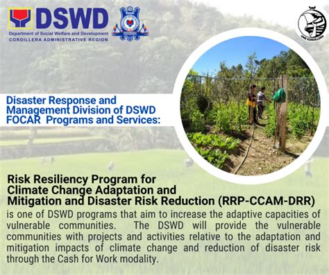 disaster response and management division drmd dswd field office car official website