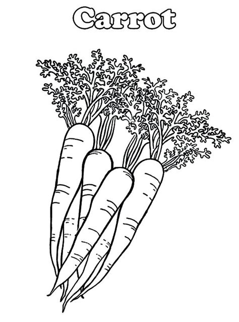 Carrot Coloring Pages Free Printable For Kids And Preschooler