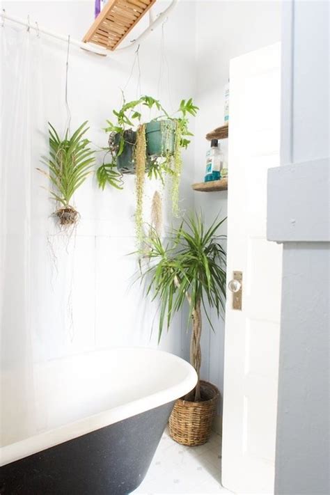 All brought to you by floor & decor. Best Plants That Suit Your Bathroom - Fresh Decor Ideas