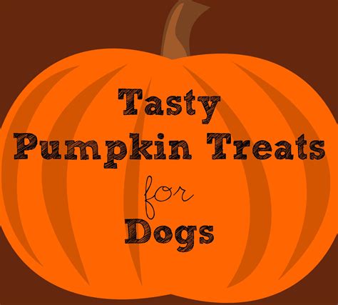 Pumpkin Treats For Dogs Pumpkin Dog Treats Pumpkin Treat Monday