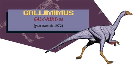 Gallimimusbooks Jurassic Park Wiki Fandom