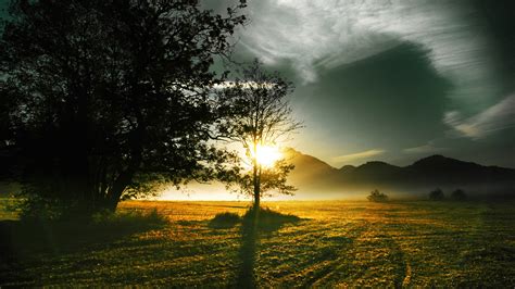 壁纸 早晨太阳的光线，山和树木 2560x1600 Hd 高清壁纸 图片 照片