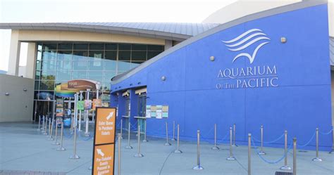 Californias Largest Aquarium Might Be The Best Marine Experience Yet