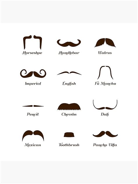 Mustache Types Chart