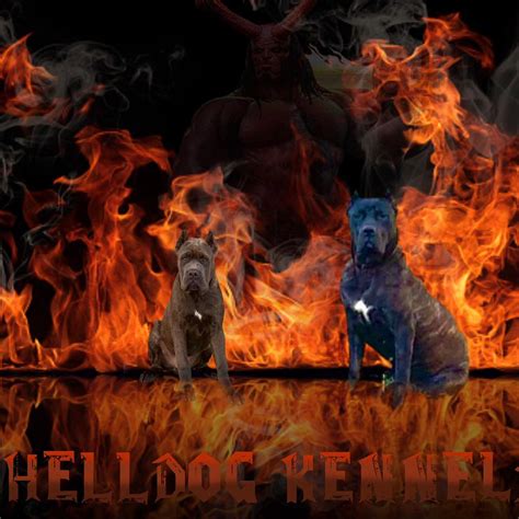 Hell Dog Kennels Chattanooga Tn