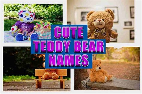 A Cuddly Guide To Choosing The 230 Best Teddy Bear Names
