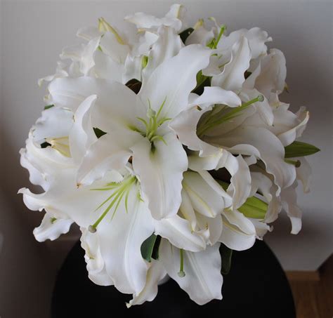 White Oriental Lily Bouquet Flickr Photo Sharing