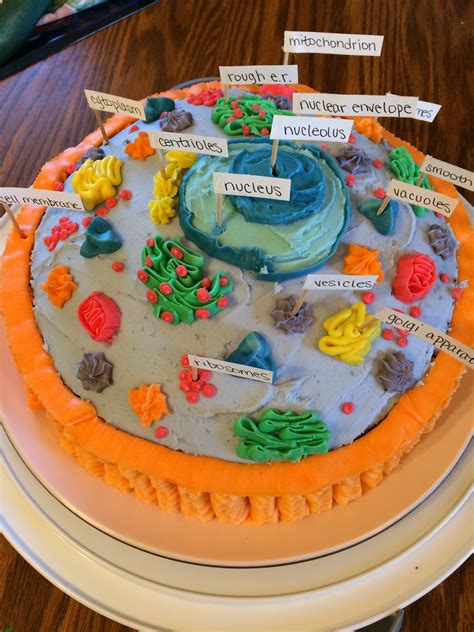 Animal Cell Project Made Of Cake Animal Cell Project Animal Cell