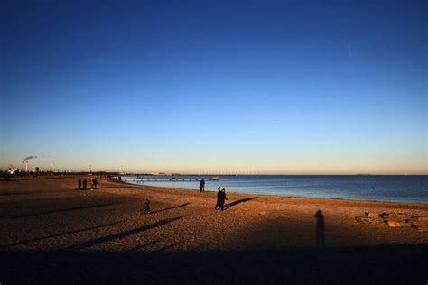 Amager Strandpark Beach Guía De 2023 Con Fotos Las Mejores Playas