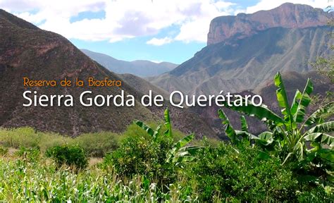 La Biodiversidad De La Sierra Gorda De Querétaro