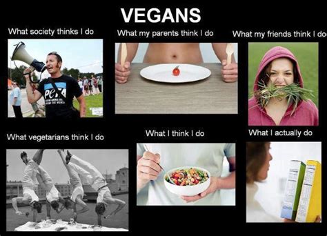 Ten Eating Tips To Help You Be A Successful Vegan Dirtnkids Blog