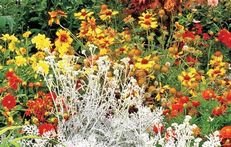 How To Get Late Summer Color In Your Garden Garden Design Late
