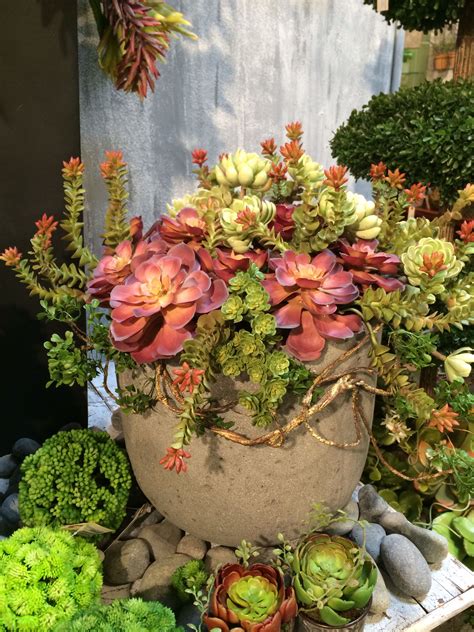 Succulent Pot Arrangements