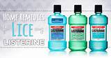 Home Remedies Head Lice Treatment Listerine