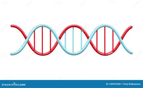 Genes Vector Illustration Educational Labeled Structure Example Scheme