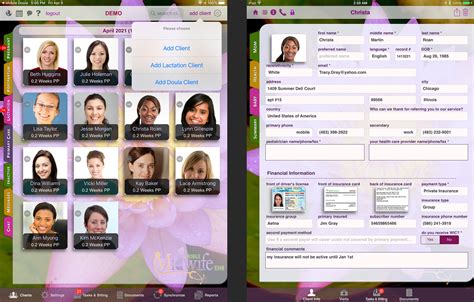 Overview Mobile Midwife Ehr App For The Ipad Electronic Charting