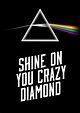 Pink Floyd - 'Shine On You Crazy Diamond' Poster | Pink floyd shine on ...