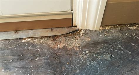 How To Patch A Subfloor Going Under An Exterior Wall Love And Improve Life