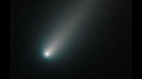 Comet Ison Viewing Guide How Best To See The Astronomy Event Of The