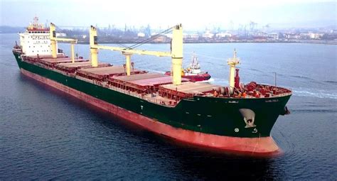 Types Of Cargo Ships Ship Chartering Services Bulk Vessel
