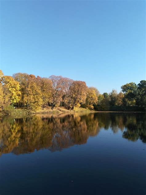 Autumn Landscape Falling Leaves And Reflections In The Pond A