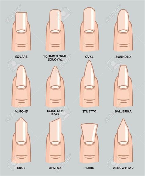 acrylic nail shapes chart