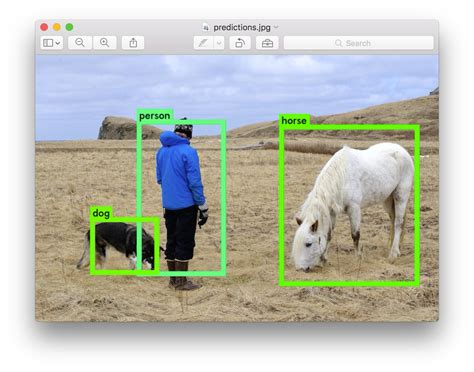 Yolo Object Detection With Opencv And Python Images