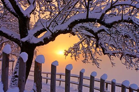 Beauty Christmas Cover Dawn Fence Ice Landscape Nature Photo