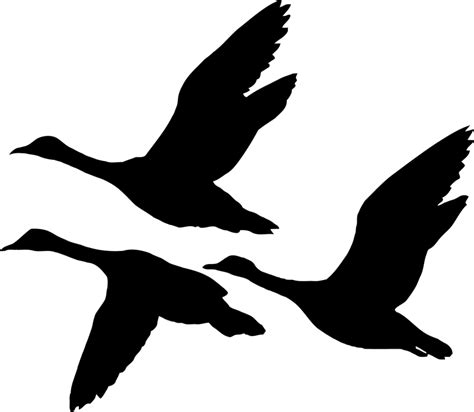 Flying Goose Drawing Free Download On Clipartmag