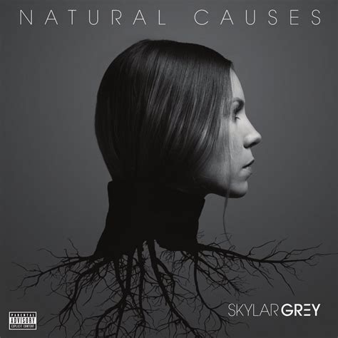 Carátula Frontal De Skylar Grey Natural Causes Portada