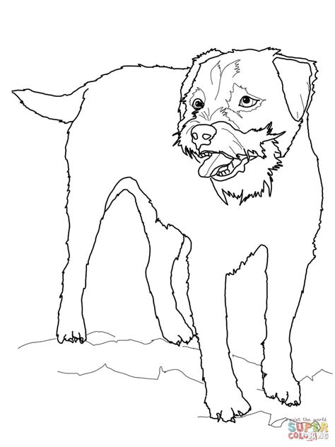 Dog coloring pages are a great way to teach what different dogs look like. Dog Bone Coloring Page at GetColorings.com | Free ...