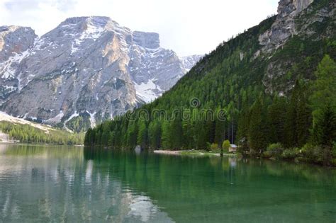 The Wonderful Braies Lake In The Dolomites In Spring With The Mountains