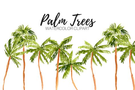 Watercolor Palm Tree Clipart Illustrations Creative Market