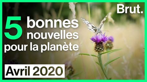 5 Bonnes Nouvelles Pour La Planète Youtube